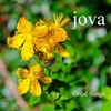 Jova - Sommeren Er Beste Tiden