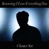 Knowing I Love Everything You - Single