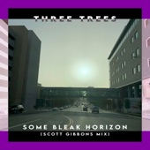 Some Bleak Horizon (Scott Gibbons Mix) artwork