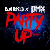 Party Up (Up in Here) [DARKO Remix] artwork