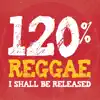 I Shall Be Released (feat. Danakil, Naâman, Tiken Jah Fakoly, Jahneration, Yaniss Odua, Merlot & Volodia) - Single album lyrics, reviews, download