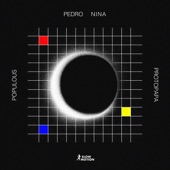 Nina (Populous Remix) artwork
