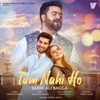 Tum Nahi Ho - Single