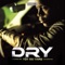 Le temps qui passe (feat. Vitaa) - Dry lyrics