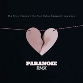 Paranoie (feat. Fabio Pasqauli, Sando, Tha Fra & Jay Lock) [Remix] artwork