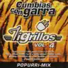 Cumbias Con Garra, Vol. 4 album lyrics, reviews, download