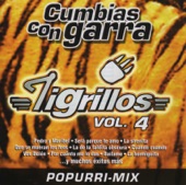 Cumbias Con Garra, Vol. 4, 2002