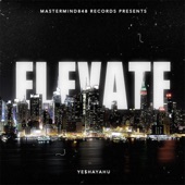 Elevate artwork