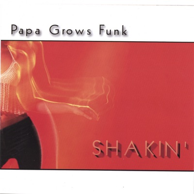 Say B’uh ( I Jus’ Playin’ ) - Papa Grows Funk | Shazam