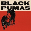 Black Pumas (Deluxe) artwork