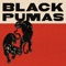 Fire - Black Pumas lyrics