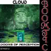 Doors of Perception - Single album lyrics, reviews, download