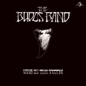 The Budos Band - The Wrangler