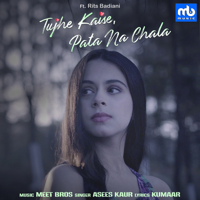 Meet Bros, Asees Kaur & Rits Badiani - Tujhe Kaise, Pata Na Chala (feat. Rits Badiani) artwork