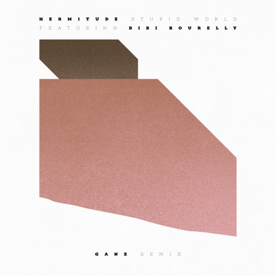 Cover artwork for Stupid World (feat. Bibi Bourelly) [GANZ Remix]