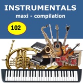 Instrumentals Maxi-Compilation 102 artwork