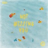 Not Missing You - Single