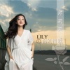 Lily的白色情歌, 2017