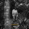 Young Inner Thoughts - 94 B-LO lyrics