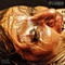 Bagged - Fluids lyrics