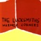 Fiction - The Lucksmiths lyrics