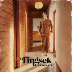 Resonate - Single by Tingsek album reviews, ratings, credits