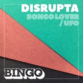 Bongo Lover artwork