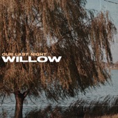 Willow artwork
