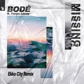 Missing (feat. Tanya Lacey) [Ekko City Remix] artwork