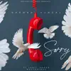 Sorry (feat. Janvi Nahar) - Single album lyrics, reviews, download