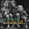 In the Fall - Single album lyrics, reviews, download