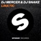 Lunatic - Dj Mercer & DJ Snake lyrics