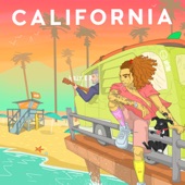 CALIFORNIA artwork