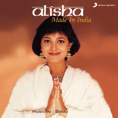 Made In India (The Mother of All Mixes) Song Lyrics