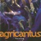 Com'u ventu - Agricantus lyrics