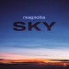 Sky - Single