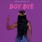 Boy Bye - Amina Buddafly lyrics