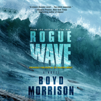 Boyd Morrison - Rogue Wave: A Novel artwork
