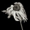 Can We Fall in Love Again - Domo Wilson lyrics