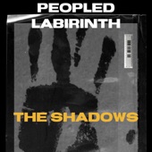 The Shadows artwork