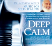 Deep Calm - Music for Self Healing artwork