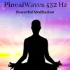 PinealWaves 432 Hz: Powerful Meditation album lyrics, reviews, download