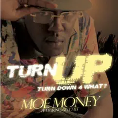 Turn Up (feat. Big Chief) - Single by Moe Money album reviews, ratings, credits