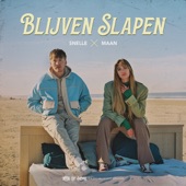 Blijven Slapen artwork