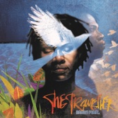The Traveller (Special Edition) artwork