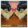 Jailbird Joe - Single album lyrics, reviews, download
