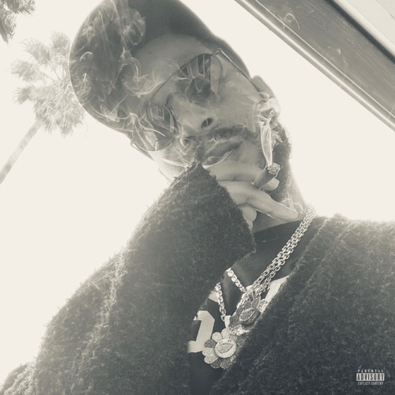 Cover artwork for Leader of the Delinquents