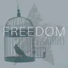 Stream & download Freedom Come Tonight (feat. Brandon Heath) - Single