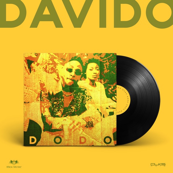 Cover artwork for Dodo