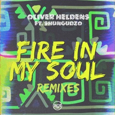 Fire In My Soul (feat. Shungudzo) [Remixes] - EP